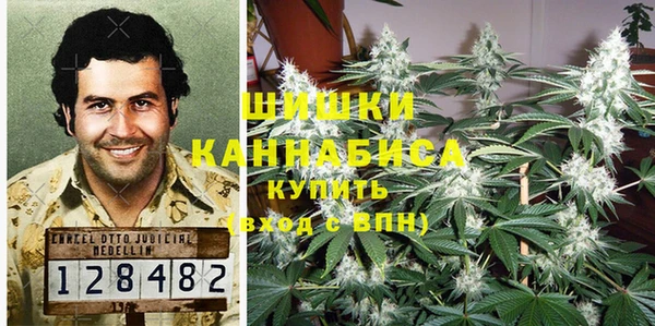 молекула духа Михайловка