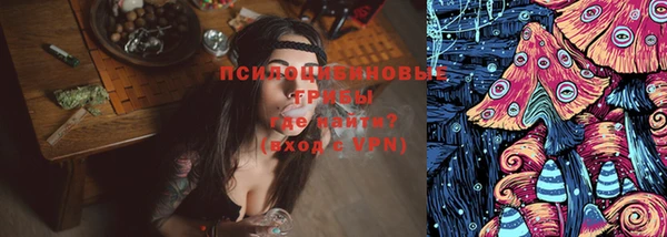 прущий лед Михайловск