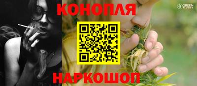 стаф Аргун