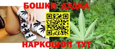 крисы Апшеронск