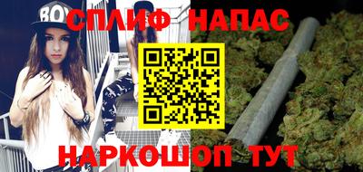 крисы Апшеронск