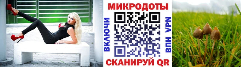 закладки МЕГА сайт Галлюциногенные грибы Magic Shrooms Люберцы