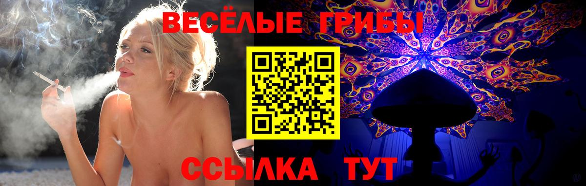 Галлюциногенные грибы прущие грибы  Вход с VPN  Люберцы 